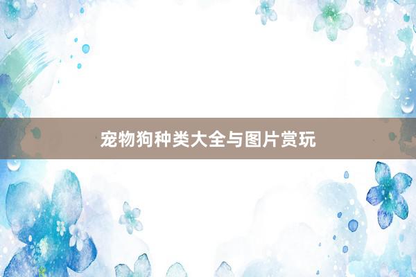 宠物狗种类大全与图片赏玩
